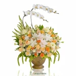 Bunga meja ucapan selamat dengan rangkaian anggrek putih dan mawar kuning peach untuk hadiah dan dekorasi ruangan.