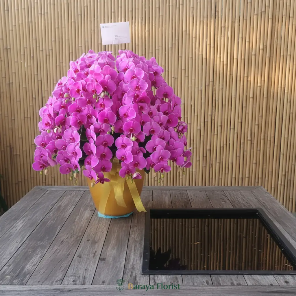 bunga anggrek untuk meja tamu