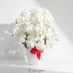 bunga meja anggrek bulan putih