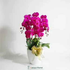 bunga meja anggrek pink elegan